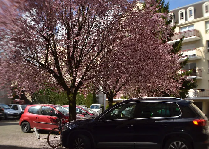 L'Invitation Au Voyage